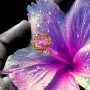 Meet your Posher, Tracy